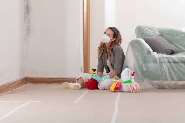 Reliable Black Mold Remediation contractor in Jacksonville, OR by Car Mold Remediation